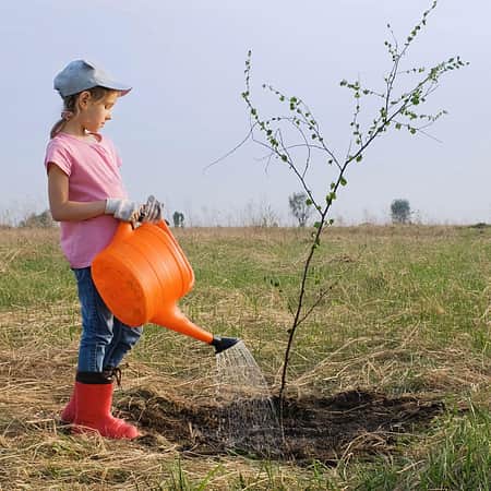 Sustainability girl watering tree