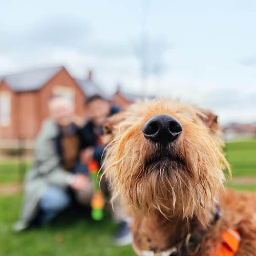 Bellway WO Set09a 08