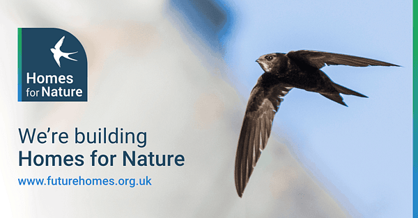 Homes for nature 1200x627 swift
