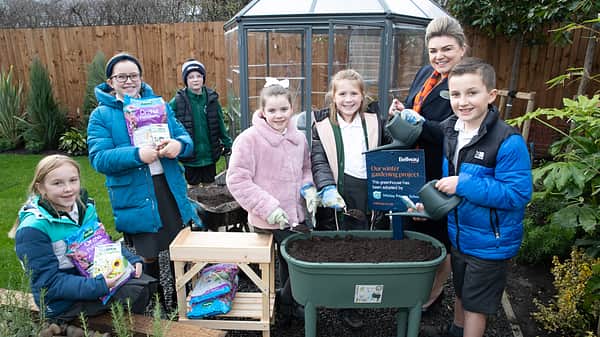 Media 2170 whirley primary