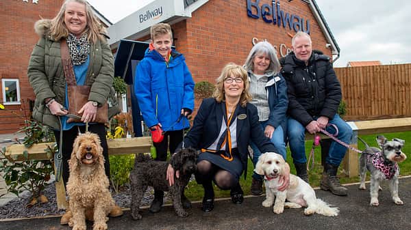 Media 2193 sheasby park dog walk