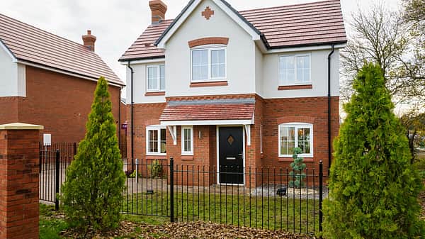 Media 2297 lisianthus showhome