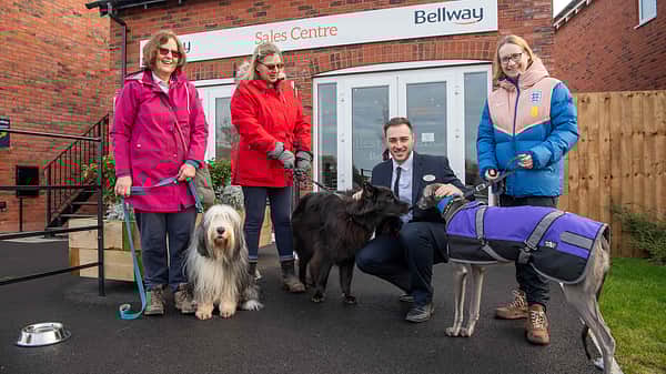 Media 3531 rolleston manor dog walk