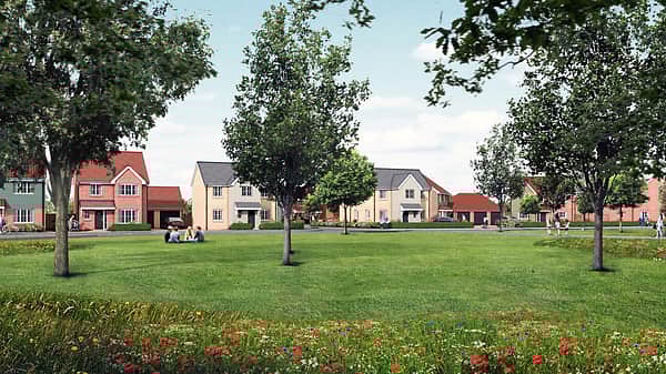 Media 3626 the ferns cgi