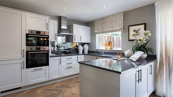 Media 1893 willand development