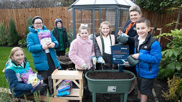 Media 2170 whirley primary