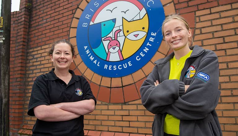 Media 1969 bristol animalrescue 2