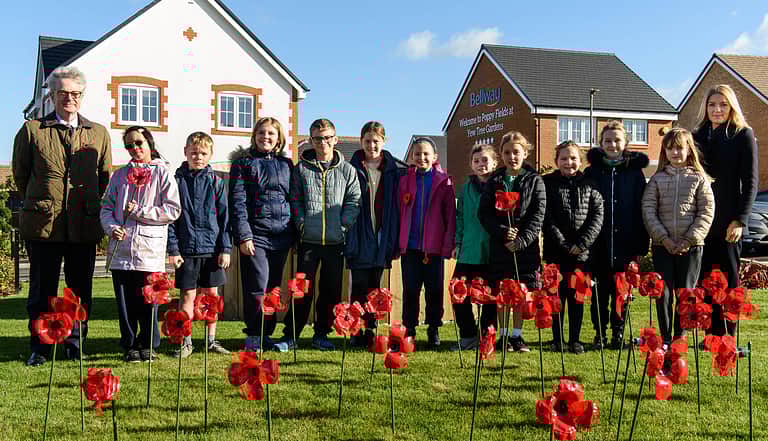 Media 2021 poppyfields poppies