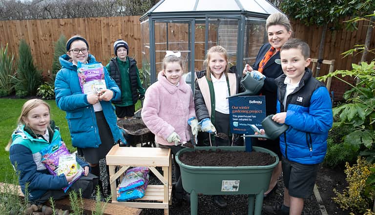 Media 2170 whirley primary