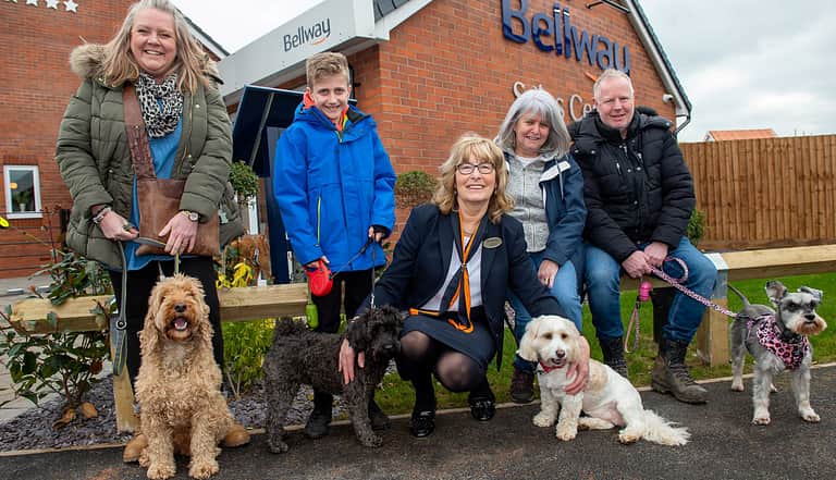 Media 2193 sheasby park dog walk