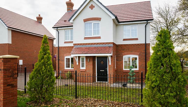 Media 2297 lisianthus showhome