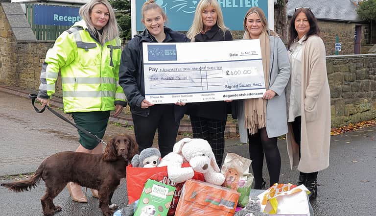 Media 3426 toy donation to dog and cat shelter