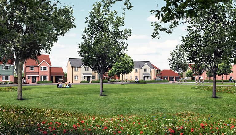 Media 3626 the ferns cgi