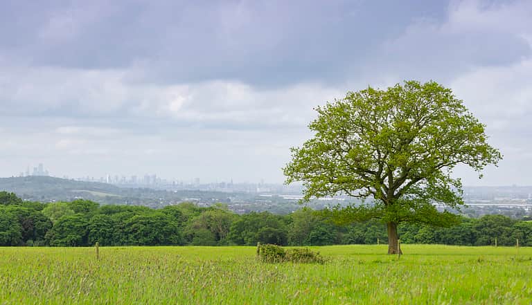 Media bmhjxrhl harolds park wildland with city of london skyline small