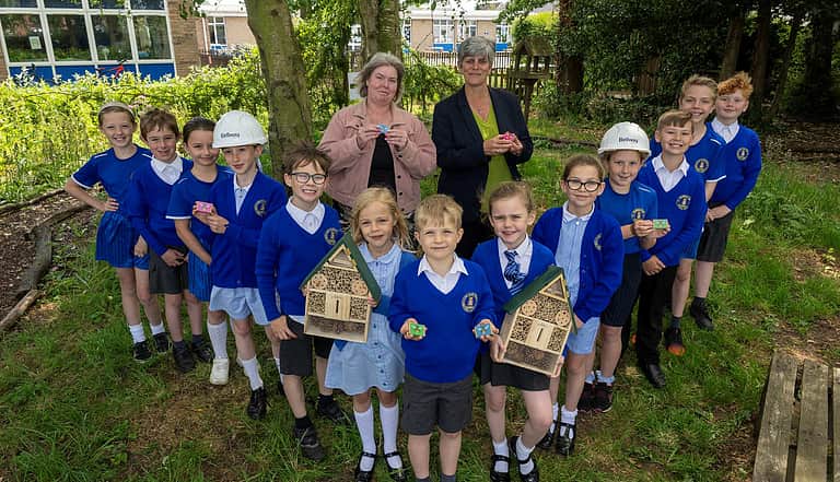 Media erqjrbgj pinchbeck fields bee bombs