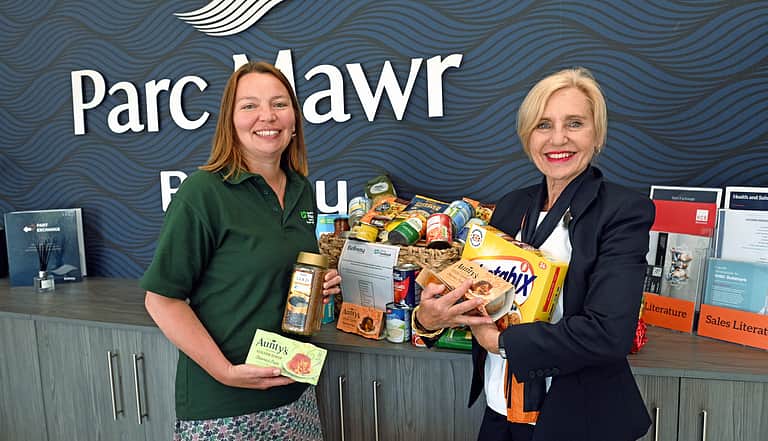 Media kjkpxml5 swansea foodbank