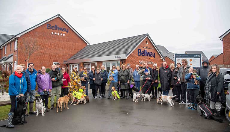 Media onadqo3a sheasby park dog walk and donation