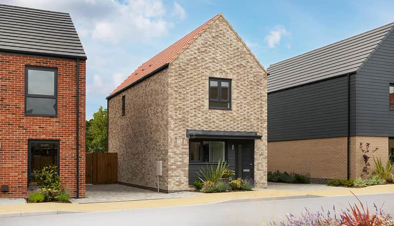 Media qszn2djq the coiner springsteadvillage external