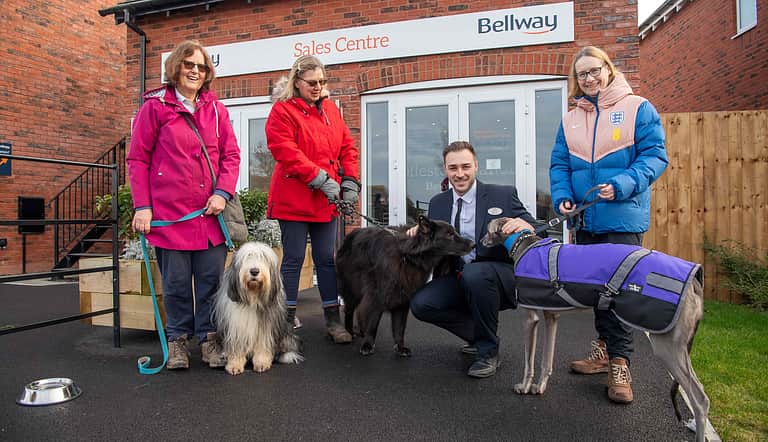 Media 3531 rolleston manor dog walk