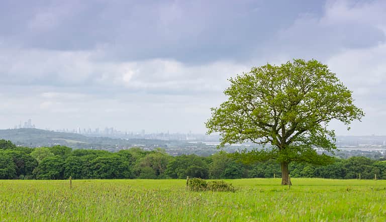 Media bmhjxrhl harolds park wildland with city of london skyline small