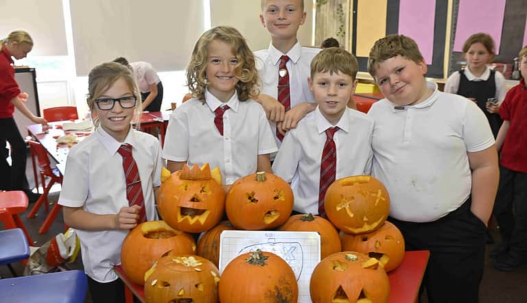 Media kgfbznho skelton primary pumpkins