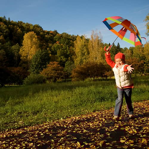 Shutterstock 362009531